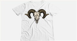 AC-04 防升华彩色平面烫画